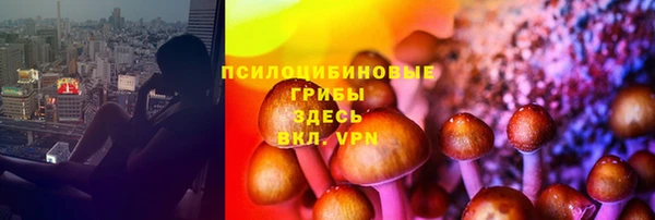 соль ск Краснослободск