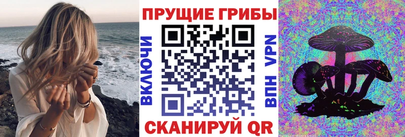 Псилоцибиновые грибы Magic Shrooms  Купить где  Валдай 